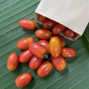 Organic Cherry Tomatoes (Pa La-U)