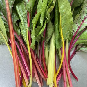 Organic Rainbow Swiss Chard