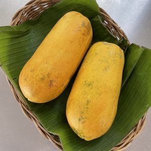 มะละกอฮอลแลนด์ออร์แกนิค (ป่าละอู)