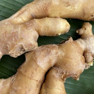 Organic Ginger (Nakhon Ratchasima)