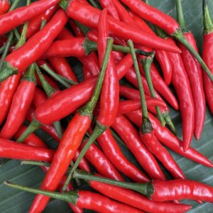 Organic Chinda Chilies (Nakhon Ratchasima)