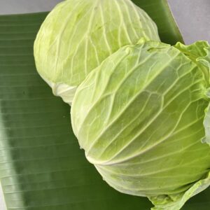 Organic Cabbage (Wungnamkiew)