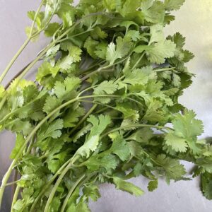 Organic Coriander (Nakhon Patom)