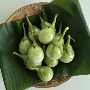 Organic Thai Eggplant