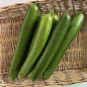 Organic Japanese Cucumber