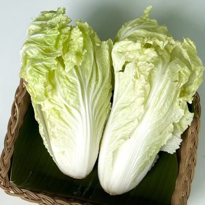 Organic Chinese Cabbage (Wungnamkiew)