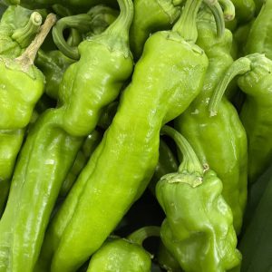 Organic Padrón Pepper (Wungnamkiew)