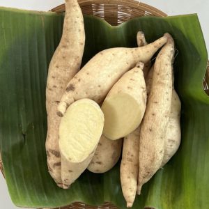Organic White Sweet Potatoes (Wungnamkiew)