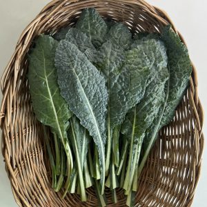 Organic Lacinato Kale (Nakhon Pathom)