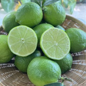 Tahitian Seedless Limes