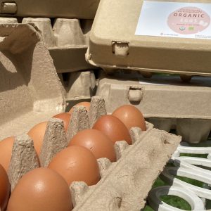 Organic Free Range Chicken Eggs (Ratchaburi) - Medium Size