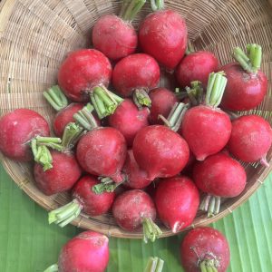 แรดิช ออร์แกนิค (ราชบุรี)