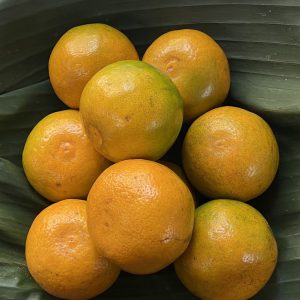 Organic Sai Nam Pueng Oranges (Chiang Mai)