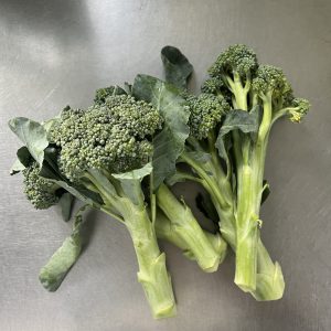 Organic Broccoli (Pa-La-U)