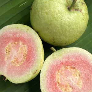 Organic Pink Guava (Bang Chang)