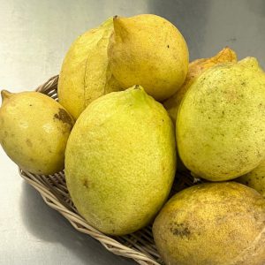 Organic Local Lemons (Udon Thani)