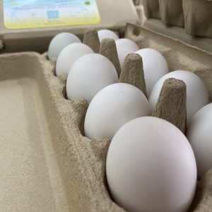 Organic Free Range Duck  Eggs (Nakhon Pathom)