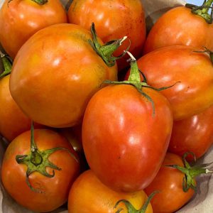 Organic "Tor" Tomatoes (Wungnamkiew)