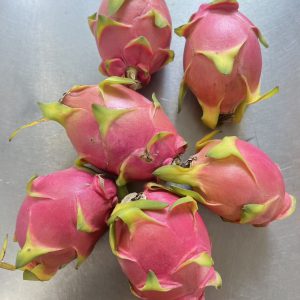 Organic White Dragon Fruit (Wungnamkiew)