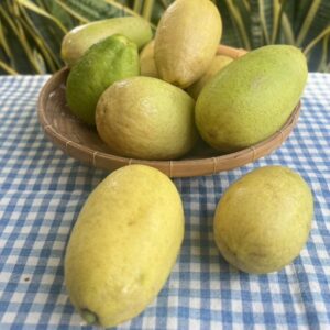 เลม่อนออร์เเกนิค (ป่าละอู)