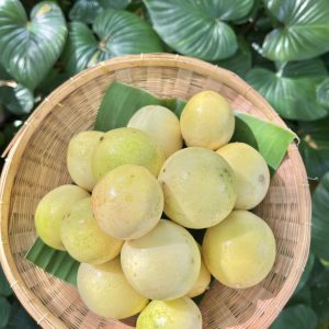 Organic "Sai Nam Peung" Sweet Passionfruit (Korat)
